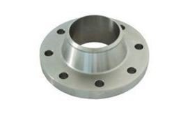 Weld Neck Flange Supplier in India